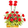 Carnations Arrangement