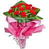 Good Wishes