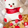 Teddy Basket